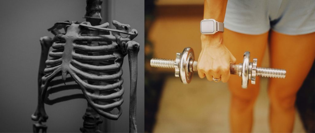 Skeleton and millennial woman lifting weights